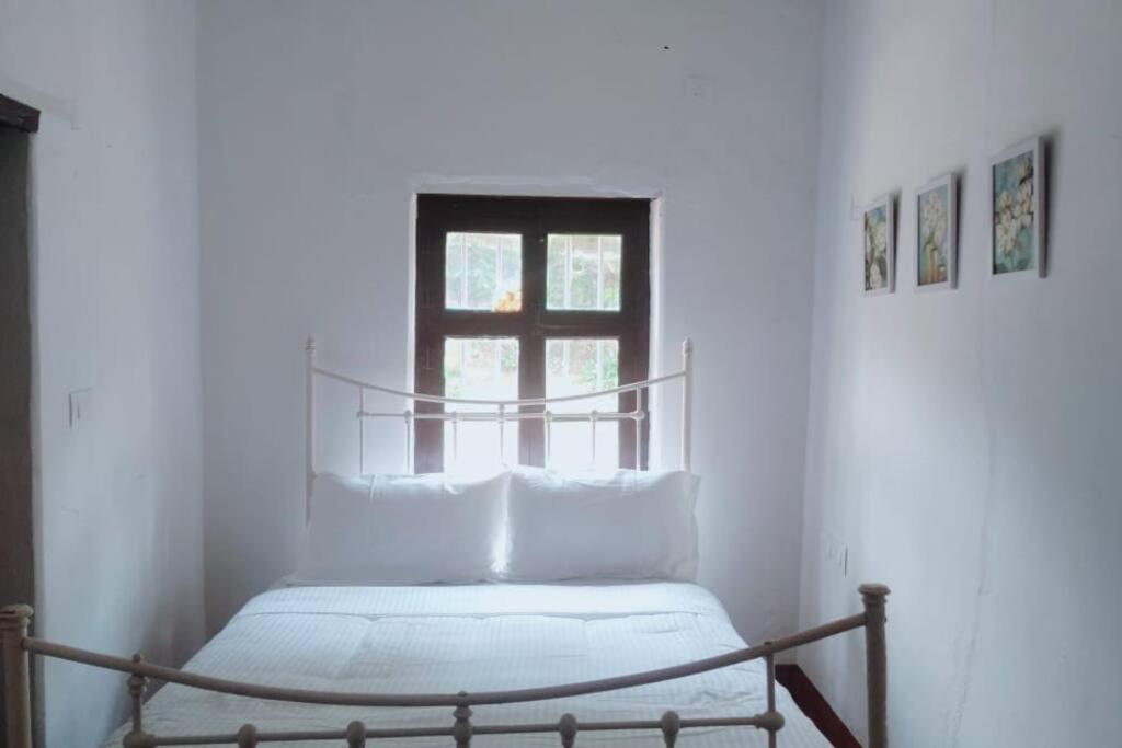 A Quaint Cottage With Rajah'S Seat View. Madikeri Dış mekan fotoğraf