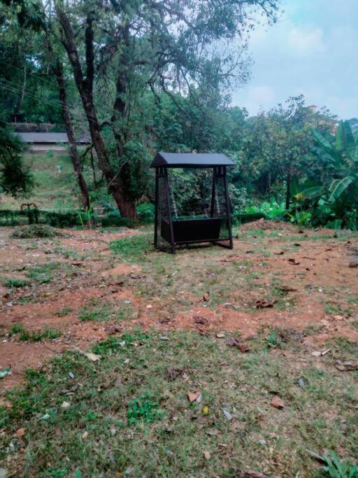 A Quaint Cottage With Rajah'S Seat View. Madikeri Dış mekan fotoğraf